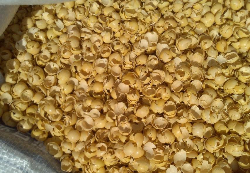 Development prospect of soybean hulls on ruminants_亚禾营养